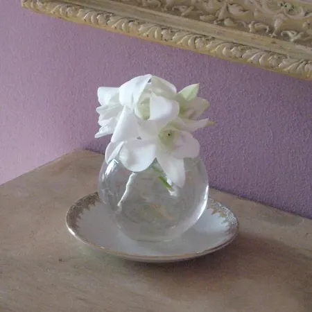 San Carlo Bed & Breakfast *